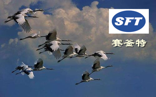 賽釜特公司加快企業(yè)文化建設(shè)步伐